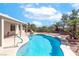 In-ground swimming pool and covered patio with large palm trees at 786 Craigmark Ct, Henderson, NV 89002
