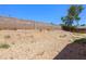 Large backyard features a rock surface area and a tall block wall at 824 Antigua St, Las Vegas, NV 89145