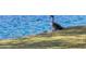 Scenic lake view featuring a duck standing on the shoreline of a beautiful waterfront property at 2537 Seascape Dr, Las Vegas, NV 89128
