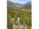 The house is nestled in a serene and desirable mountain community with mature landscaping at 401 Alpine Way, Mount Charleston, NV 89124