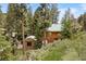 Cabin with log siding and green roof, complemented by mature trees and a storage shed at 401 Alpine Way, Mount Charleston, NV 89124