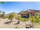 Landscaped backyard features rock ground cover, patio, and fenced lawn at 357 S Milan St, Henderson, NV 89015
