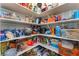 Walk-in pantry featuring shelving for ample storage and organization at 4837 River Splash Ave, Las Vegas, NV 89131
