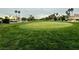 Lush golf green surrounded by well manicured grass with palm trees in the distance at 632 Tam O Shanter, Las Vegas, NV 89109