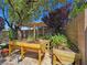 Raised garden beds offering great gardening space with mature trees in the background at 8010 Palm Cove Ct, Las Vegas, NV 89129