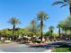 Community street view with palm trees, lush landscaping, and well-maintained pathways under a bright blue sky at 908 Duckhorn Ct # 102, Las Vegas, NV 89144