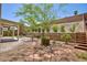 Large backyard showcasing stone accents, mature trees, tiered garden bed and covered patio at 2475 Sedona Cedar Ave, Henderson, NV 89052