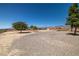 Expansive backyard featuring natural desert landscaping with mature trees under a clear blue sky at 2730 Banyon St, Pahrump, NV 89048