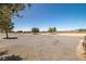 Extensive backyard showcasing gravel landscaping, mature trees, and vast open space at 2730 Banyon St, Pahrump, NV 89048
