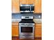 Stainless steel Frigidaire gas range with oven and cooktop at 3412 Catherine Mermet Ave, North Las Vegas, NV 89081