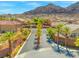 Picturesque neighborhood view with palm-lined streets and mountain backdrop, ideal for peaceful living at 6958 Lazy Sunset Ct, Las Vegas, NV 89156