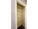 Interior view of a storage closet featuring several shelves and white trim at 8125 Rio De Janeiro Dr, Las Vegas, NV 89128