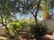 View of mature trees and landscaping in the backyard at , Las Vegas, NV 89128