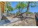 Large backyard with mature trees and concrete patio area at 1705 Westwind Rd, Las Vegas, NV 89146