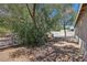 Spacious backyard with trees, partial fencing and ample space at 4825 Stillwater Ave, Las Vegas, NV 89110