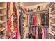 Walk-in closet with shelves and hanging rods, providing ample storage space for clothing at 2050 W Warm Springs Rd # 1923, Henderson, NV 89014