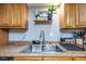 Well-maintained kitchen sink with stainless steel fixtures and decorative accents above at 224 Catalini St, Las Vegas, NV 89107