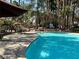 A beautiful community pool with mature landscaping and lounge seating, perfect for relaxation at 3101 Casey Dr # 204, Las Vegas, NV 89120