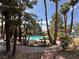 Scenic pool area nestled among tall trees offering a refreshing escape and community gathering spot at 3101 Casey Dr # 204, Las Vegas, NV 89120