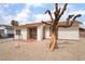 Single-story home with white stucco and brown trim, xeriscaped front yard, and security doors at 3309 Marionette Ave, Las Vegas, NV 89101