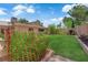 A meticulously maintained backyard lawn is surrounded by lush gardens and a privacy fence at 3753 Meadowcrest Dr, Las Vegas, NV 89121