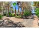 Long driveway leading to a beautiful home surrounded by mature trees and lush landscaping at 5260 N Jones Blvd, Las Vegas, NV 89130