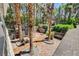 Spacious front yard with mature trees, offering privacy and a tranquil setting at 5260 N Jones Blvd, Las Vegas, NV 89130