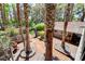 Expansive front yard featuring mature trees, offering a tranquil and private outdoor space at 5260 N Jones Blvd, Las Vegas, NV 89130