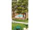 Apartment community swimming pool and grilling area bordered by tall trees and landscaping at 8101 W Flamingo Rd # 2110, Las Vegas, NV 89147