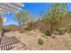 Landscaped backyard with decorative rock, brick patio, and mature trees offering ample shade at 2540 Binary Stars St, Henderson, NV 89044