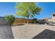Large backyard featuring gravel, mature tree, and a barbecue grill at 2856 Trossachs St, Henderson, NV 89044