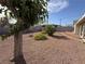 Backyard featuring decorative rock, mature landscaping, and partial view of the house at 4567 S Nellis Blvd, Las Vegas, NV 89121