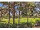 Enjoy the picturesque golf course views surrounded by mature trees at 801 Dana Hills Ct # 101, Las Vegas, NV 89134