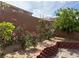 Backyard garden area featuring beautiful roses and a low-maintenance design at 9205 Valley Betica Ave, Las Vegas, NV 89148