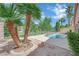 Backyard with a pool, mature palm trees, and view of green space at 1324 European Dr, Henderson, NV 89052