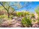 Secluded backyard featuring natural desert landscaping, rocks, mature trees, and a comfortable seating area at 1844 Ghost Trace Ave, Las Vegas, NV 89183