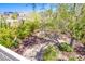An exceptional backyard features mature trees, bushes, a desert garden, and a stone walkway at 1844 Ghost Trace Ave, Las Vegas, NV 89183