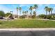 Community playground with a slide, grassy area, covered seating, and palm trees in the background at 4508 Dragon Fly Creek Ave, North Las Vegas, NV 89031