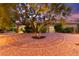 Beautiful backyard featuring desert landscaping with mature trees and pathway leading to home at 5680 N Fort Apache Rd, Las Vegas, NV 89149