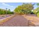 Large backyard featuring gravel landscaping and mature trees, offering a blank canvas for outdoor customization at 5680 N Fort Apache Rd, Las Vegas, NV 89149