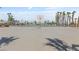 Outdoor basketball court with multiple hoops, surrounded by palm trees at 6209 Lenaking Ave, Las Vegas, NV 89122