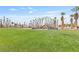 Community playground with palm trees and green grass at 6209 Lenaking Ave, Las Vegas, NV 89122