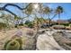 Landscaped walkway featuring desert plants, decorative rocks and trees, creating a serene neighborhood ambiance at 8229 Sedona Sunrise Dr, Las Vegas, NV 89128