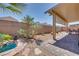 Lush backyard with desert landscaping, a small pond and mature palm trees at 1000 Via Canale Dr, Henderson, NV 89011