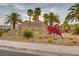 A welcoming entrance to the Chimera Golf Club, landscaped with desert plants and palm trees at 1000 Via Canale Dr, Henderson, NV 89011