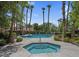 This sparkling community pool and spa area is surrounded by lush landscaping and tall palm trees at 10037 Summer Oak Ln # 102, Las Vegas, NV 89134