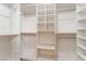 Custom walk-in closet features shelving, drawers, hanging rods and a wire basket at 10037 Summer Oak Ln # 102, Las Vegas, NV 89134