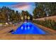 Inviting pool area with a sparkling pool, relaxing sun loungers, and mature trees, offering a private oasis at 11906 Port Labelle Dr, Las Vegas, NV 89141
