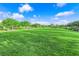 Large community lawn with mature trees, benches, and walking paths, perfect for outdoor activities at 2714 Frabiele St, Henderson, NV 89044