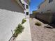Property's sideyard with stone landscaping and flowers at 3736 Steinbeck Dr, Las Vegas, NV 89115